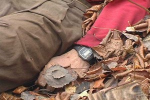 В лесу под Злынкой найден изрезанный труп мужчины