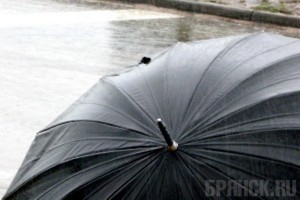 15 мая в Брянской области ожидаются дожди и грозы