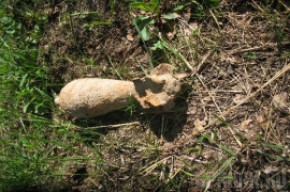В лесу под Брянском обнаружена покрытая ржавчиной мина