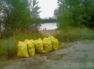 Активисты проведут уборку возле озера в Брянске