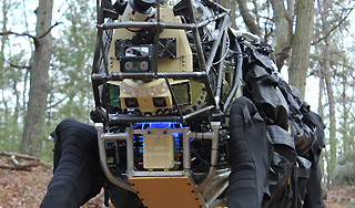 DARPA выгуляла в лесу робота AlphaDog