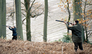 Охотник убил товарища вместо медведя Охотник убил товарища вместо медведя