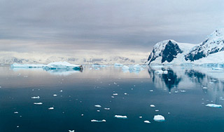Арктика летом освободится от льда