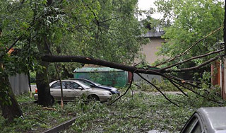 Москва пережила нашествие урагана
