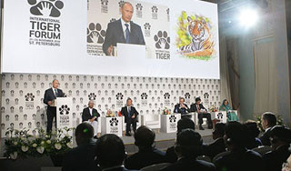 Россия поделится тигриным богатством