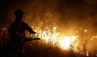 В Сибири горят сотни гектаров леса
