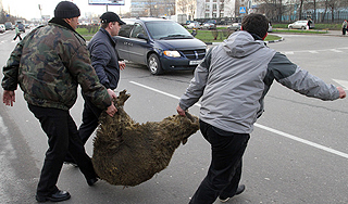 Москва: доставка баранов на дом