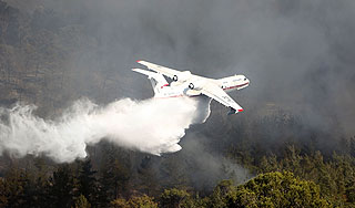 Шойгу бросил авиацию на лесные пожары