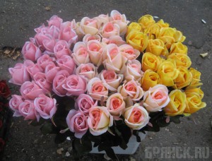 : floristic.ru
