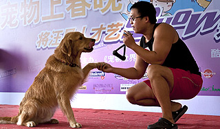 Хозяева крупных собак бегут из Пекина