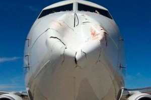 Птицы расплющили нос турецкому самолету