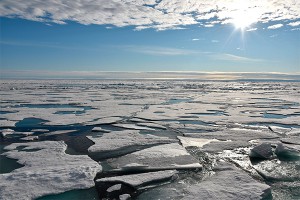 Арктические льды рекордно растаяли
