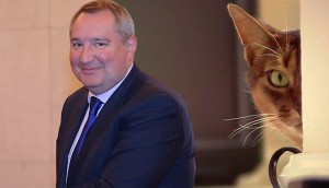 Рогозин раскрыл банду котов-шпионов