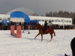Чемпионат русских троек в Брянске