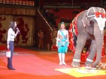 В Цирке отметили День Рождения слонихи Ранго